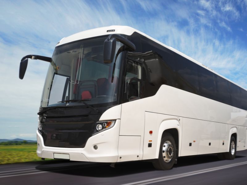 autobus per patente D